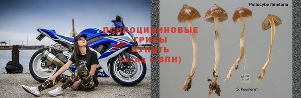 мдпв Покачи
