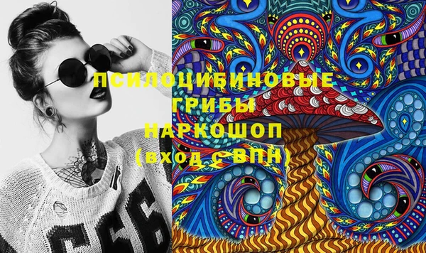 мдпв Покачи