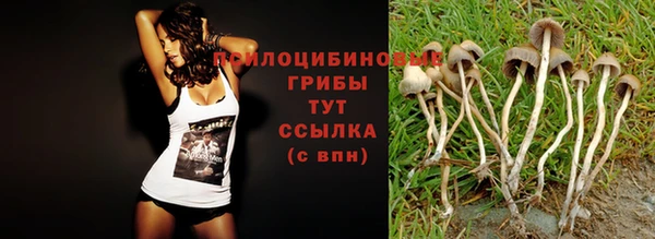 таблы Абинск