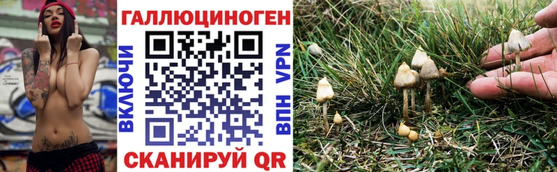что такое   Рославль  Псилоцибиновые грибы ЛСД 